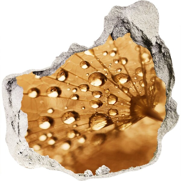 Adesivo effetto buco nel muro Gocce su una foglia