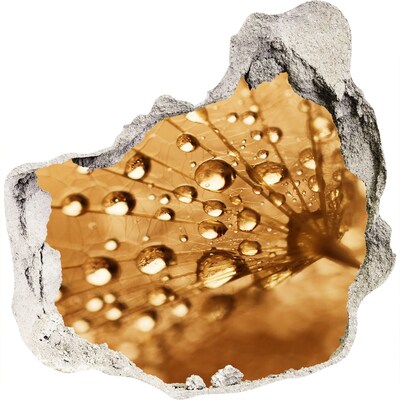 Adesivo effetto buco nel muro Gocce su una foglia