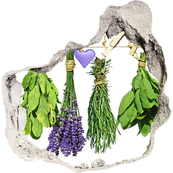 Adesivo effetto buco nel muro Giardino delle erbe aromatiche nel buco nel muro