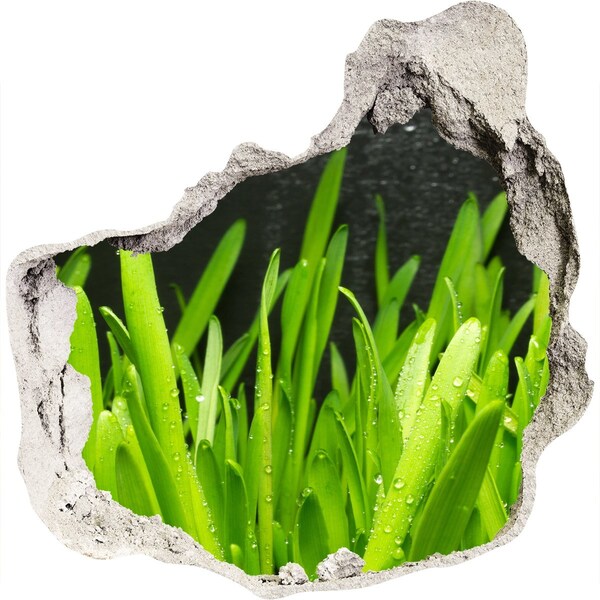 Trompe l'oeil buco nel muro Un paradiso verde dietro le mura