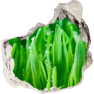 Adesivo effetto buco nel muro Prato verde con gocce d'acqua