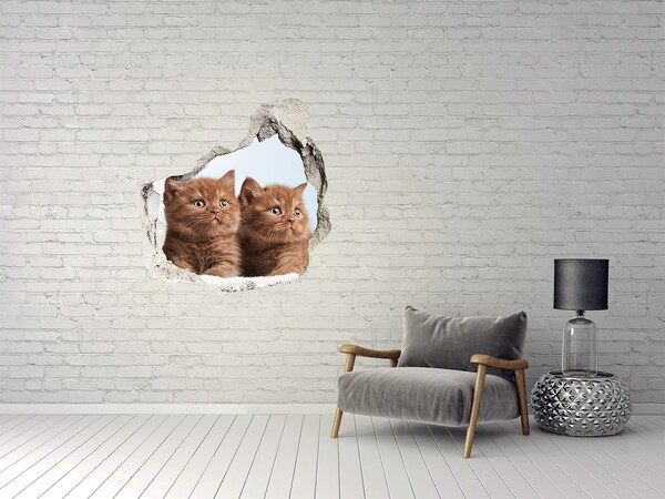 Finto buco nel muro 3D Gattini dietro il muro