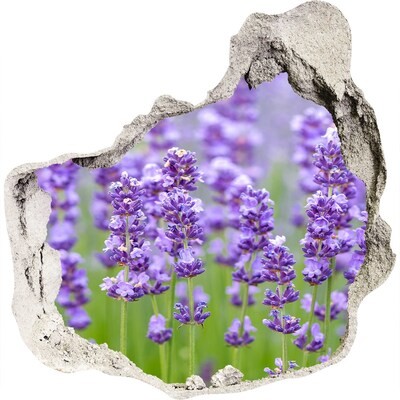 Finto buco nel muro 3D Campo di lavanda sotto il sole