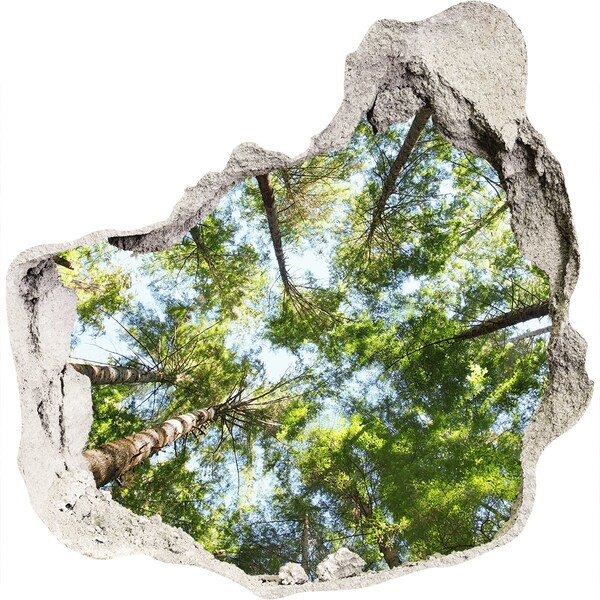 Trompe l'oeil buco nel muro Vista della foresta con cielo azzurro