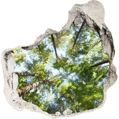 Trompe l'oeil buco nel muro Vista della foresta con cielo azzurro