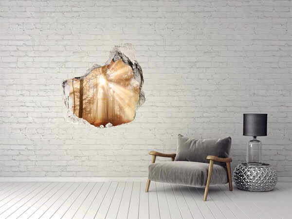 Finto buco nel muro 3D Passo forestale della pianura