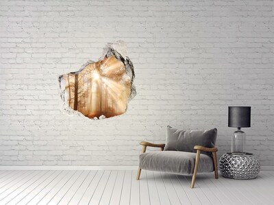 Finto buco nel muro 3D Passo forestale della pianura