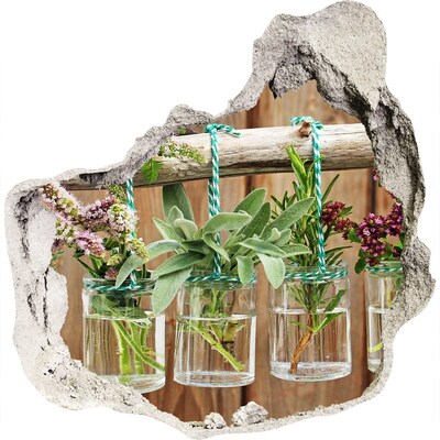 Finto buco nel muro 3D Giardino di erbe aromatiche in barattoli