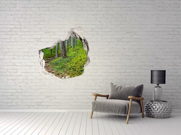 Finto buco nel muro 3D Sentiero nella foresta di Hole in the Wall