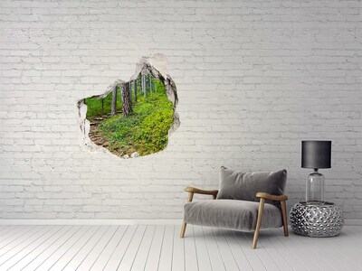 Finto buco nel muro 3D Sentiero nella foresta di Hole in the Wall