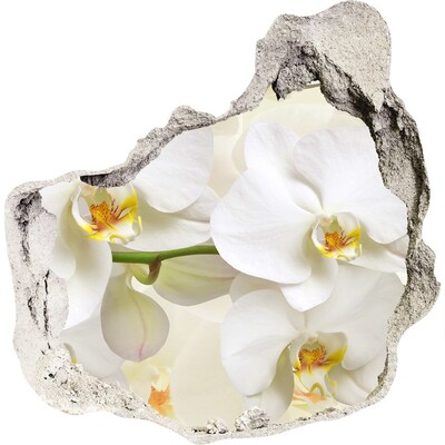 Finto buco nel muro 3D Orchidee nel cemento
