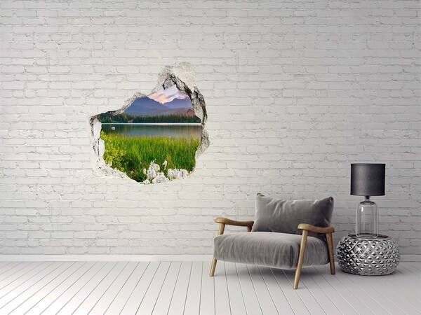 Trompe l'oeil buco nel muro Paesaggio montano in riva al lago