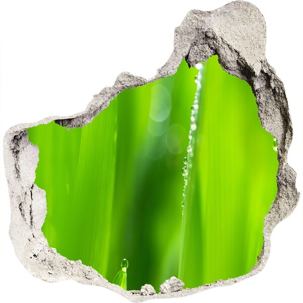 Finto buco nel muro 3D Prato verde con gocce d'acqua