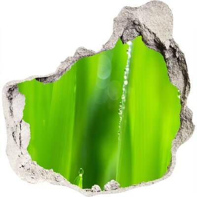 Finto buco nel muro 3D Prato verde con gocce d'acqua