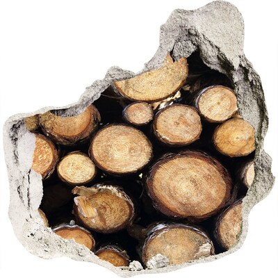 Finto buco nel muro 3D Legno in un buco nel muro