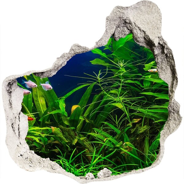 Adesivo effetto buco nel muro Il mondo sottomarino nell'acquario