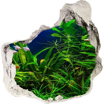 Adesivo effetto buco nel muro Il mondo sottomarino nell'acquario