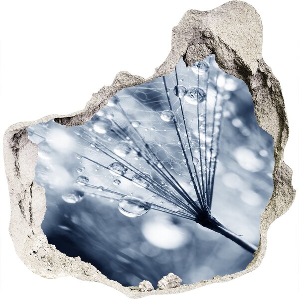 Finto buco nel muro 3D Gocce di rugiada su un dente di leone