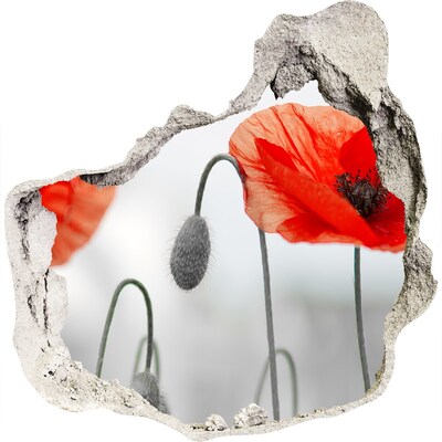 Finto buco nel muro 3D Fiori in un buco nel muro