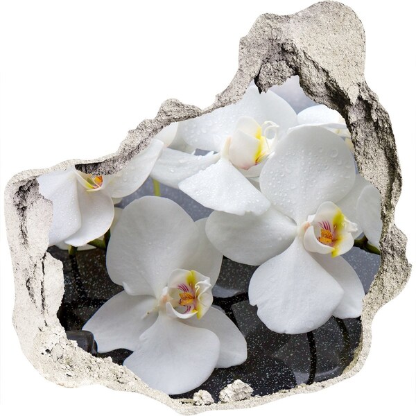 Adesivo effetto buco nel muro Fiori di orchidea in acqua