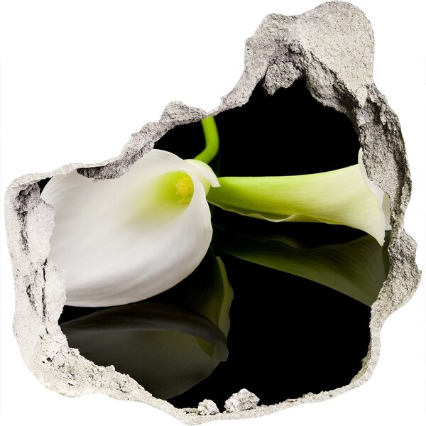 Trompe l'oeil buco nel muro Fiore nel cemento