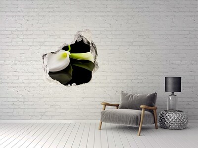 Trompe l'oeil buco nel muro Fiore nel cemento