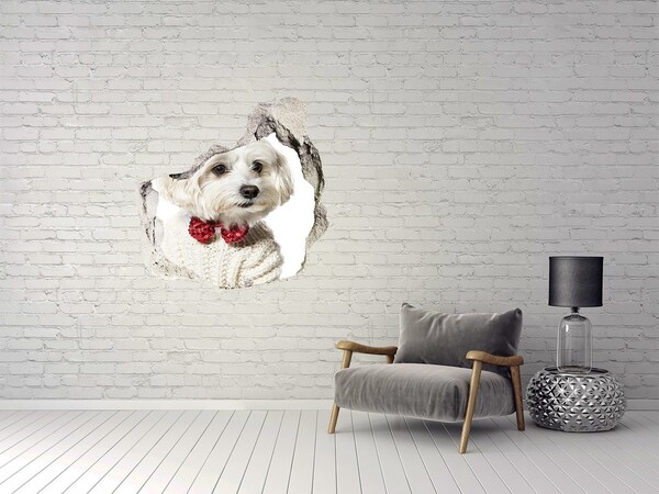 Trompe l'oeil buco nel muro Un cane con un maglione che spunta da un buco nel muro