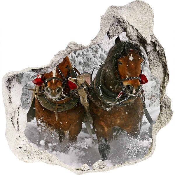 Trompe l'oeil buco nel muro Viaggio invernale a cavallo