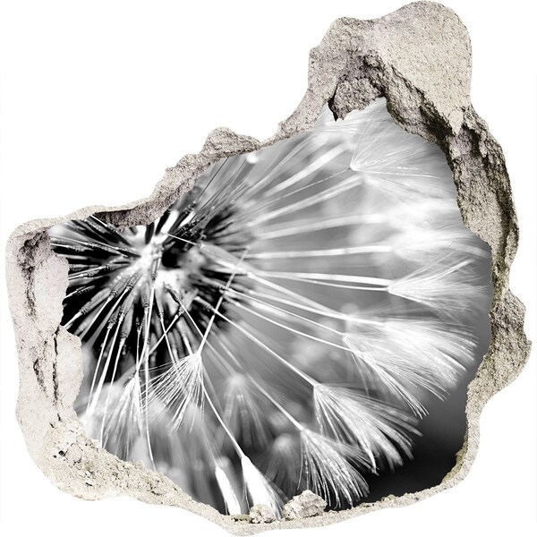 Trompe l'oeil buco nel muro Denti di leone in bianco e nero