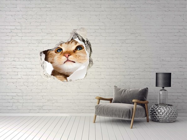 Trompe l'oeil buco nel muro Gatto attraverso un buco nel muro
