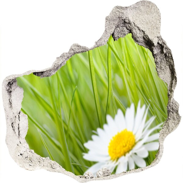 Adesivo effetto buco nel muro Un fiore in un giardino verde