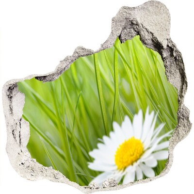 Adesivo effetto buco nel muro Un fiore in un giardino verde