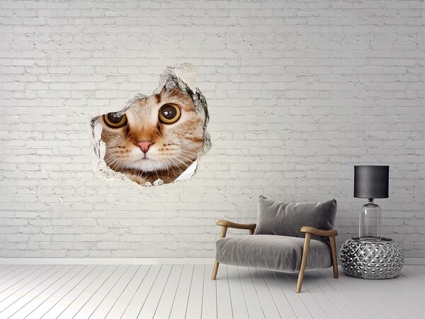 Trompe l'oeil buco nel muro Il gatto dietro il buco nel muro
