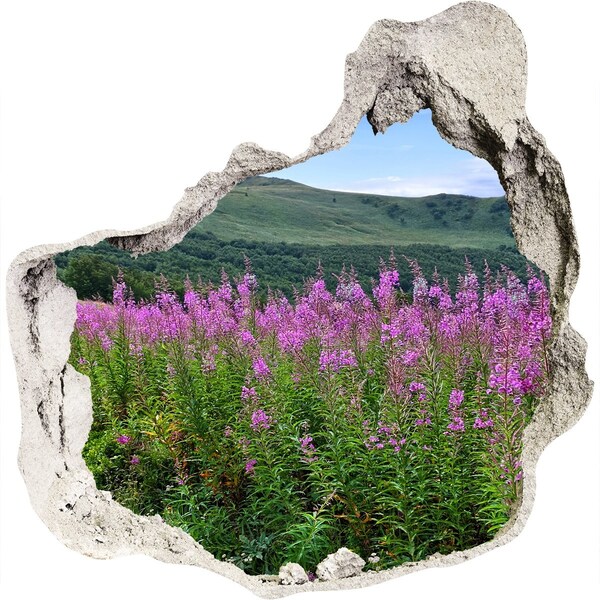 Adesivo effetto buco nel muro Paesaggio floreale in montagna
