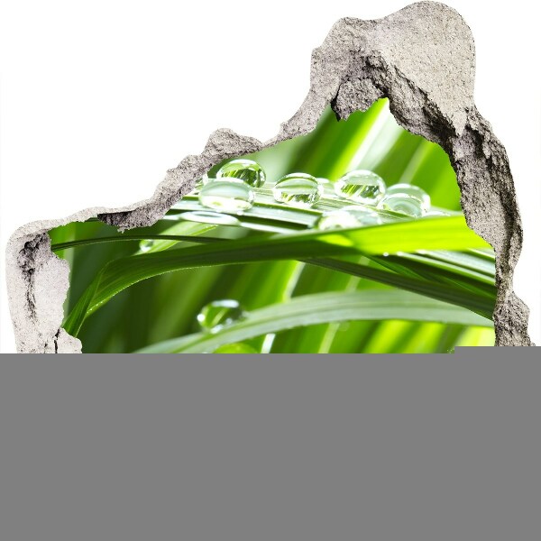 Finto buco nel muro 3D Prato verde con gocce d'acqua