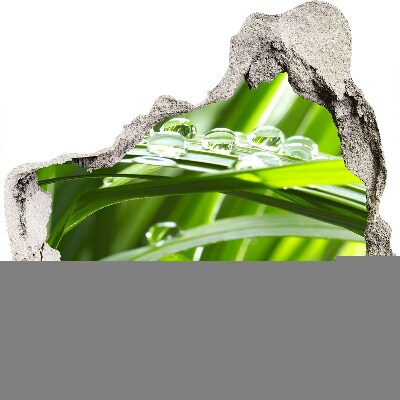 Finto buco nel muro 3D Prato verde con gocce d'acqua