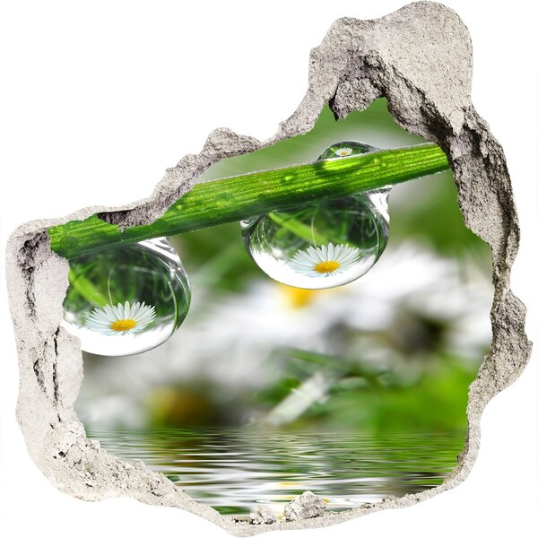 Finto buco nel muro 3D Oasi floreale con gocce d'acqua