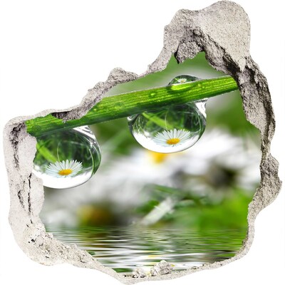 Finto buco nel muro 3D Oasi floreale con gocce d'acqua