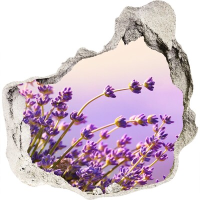 Trompe l'oeil buco nel muro Fiori di lavanda nella luce del mattino