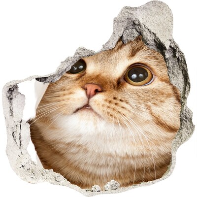 Trompe l'oeil buco nel muro Gatto in un buco nel muro