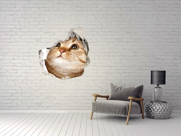 Trompe l'oeil buco nel muro Gatto in un buco nel muro