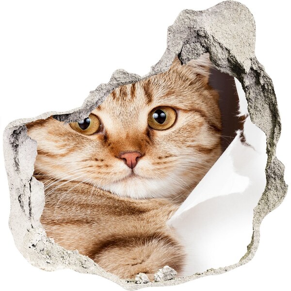 Adesivo effetto buco nel muro Gatto in un buco nel muro