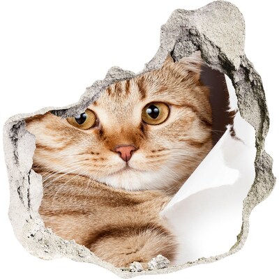 Adesivo effetto buco nel muro Gatto in un buco nel muro