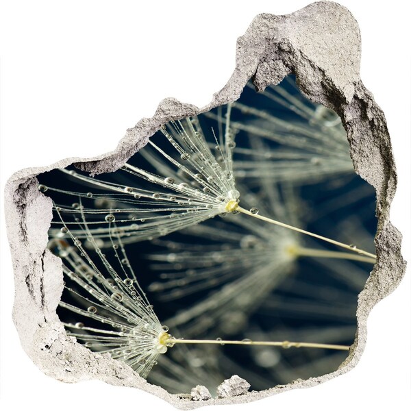 Finto buco nel muro 3D Fiori di tarassaco in acqua