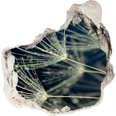 Finto buco nel muro 3D Fiori di tarassaco in acqua