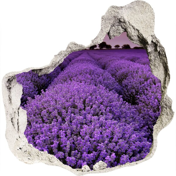 Trompe l'oeil buco nel muro Un campo di lavanda in piena fioritura