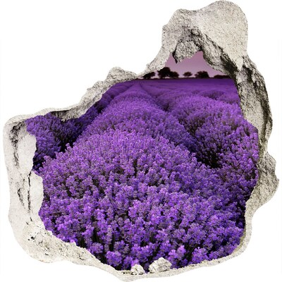 Trompe l'oeil buco nel muro Un campo di lavanda in piena fioritura