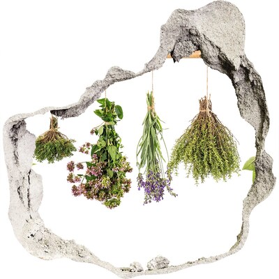 Finto buco nel muro 3D Angolo delle erbe aromatiche in cucina