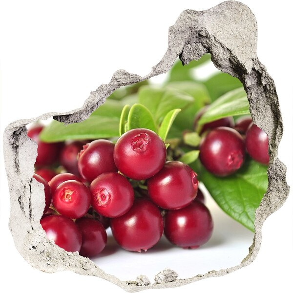 Adesivo effetto buco nel muro Fruity Hole in the Wall