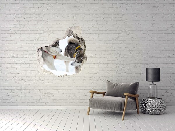 Finto buco nel muro 3D Siberian Husky in azione